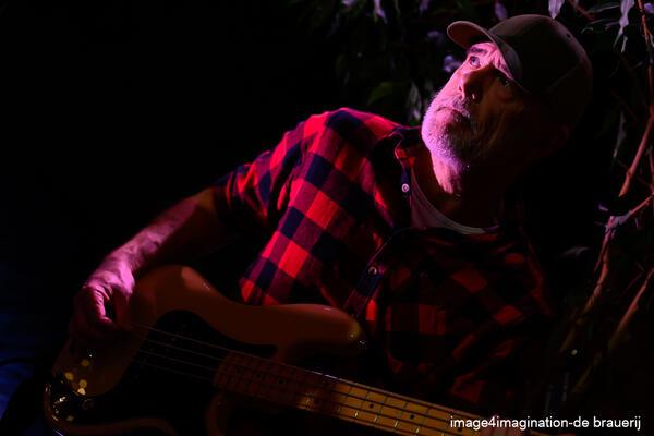 the yearlings - de brauerij